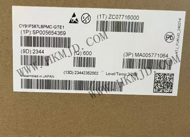 CY91F587LBPMC-GTE1.jpg